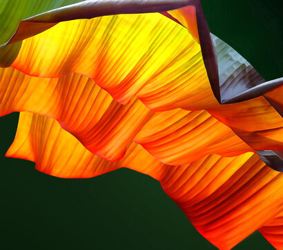 Living in peace - A Paint Artwork by Katja Lührs